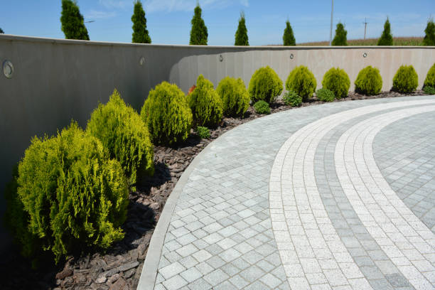 Best Driveway Repair Near Me  in Toppenish, WA